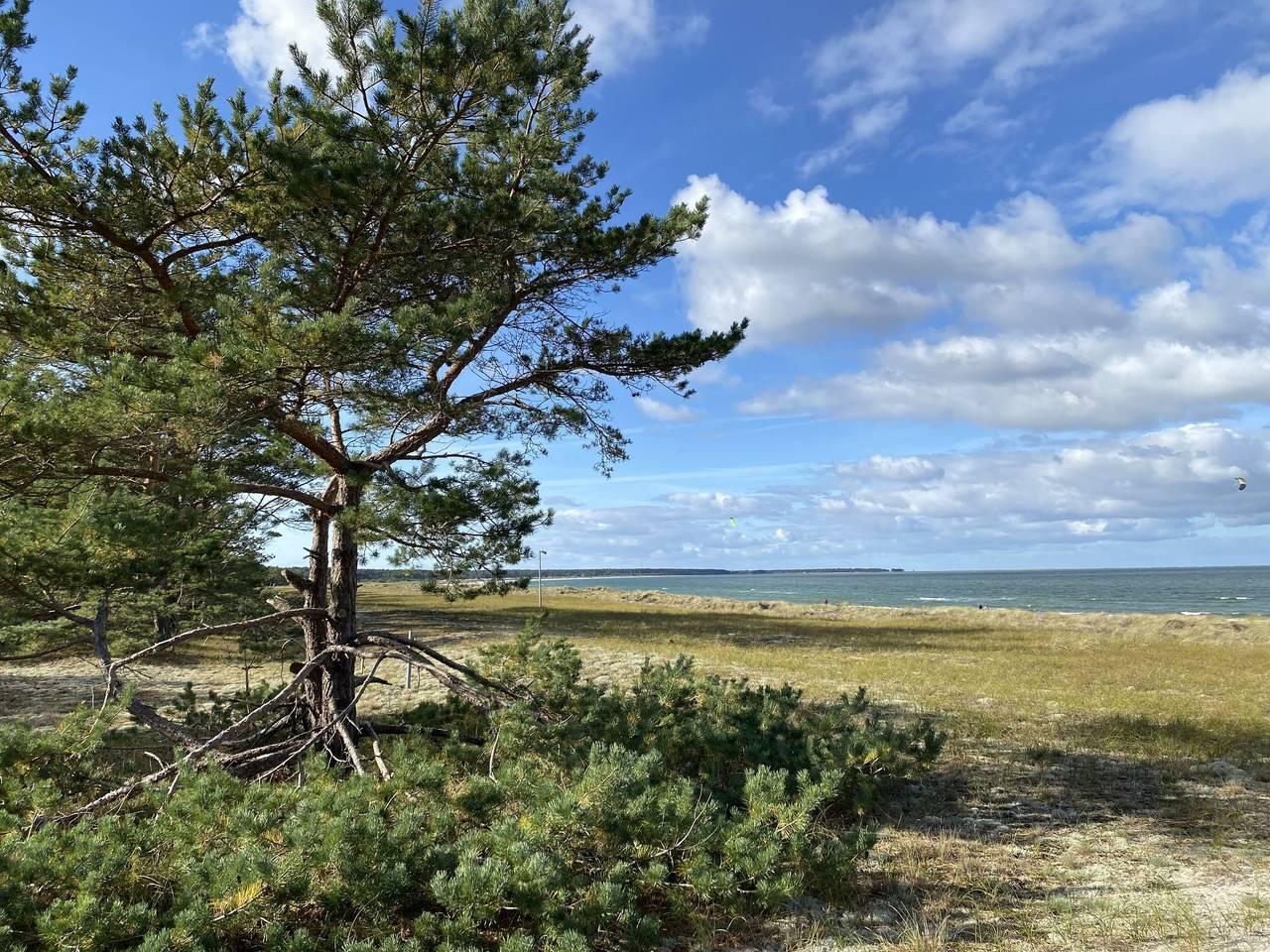 Vakantieappartement in Prerow, Schiereiland Fischland - Darss - Zingst, Duitsland voor 2 personen foto 21