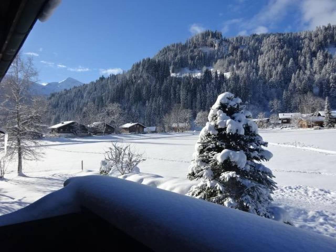 Vakantieappartement in Lenk, Zwitserland voor 5 personen foto 10