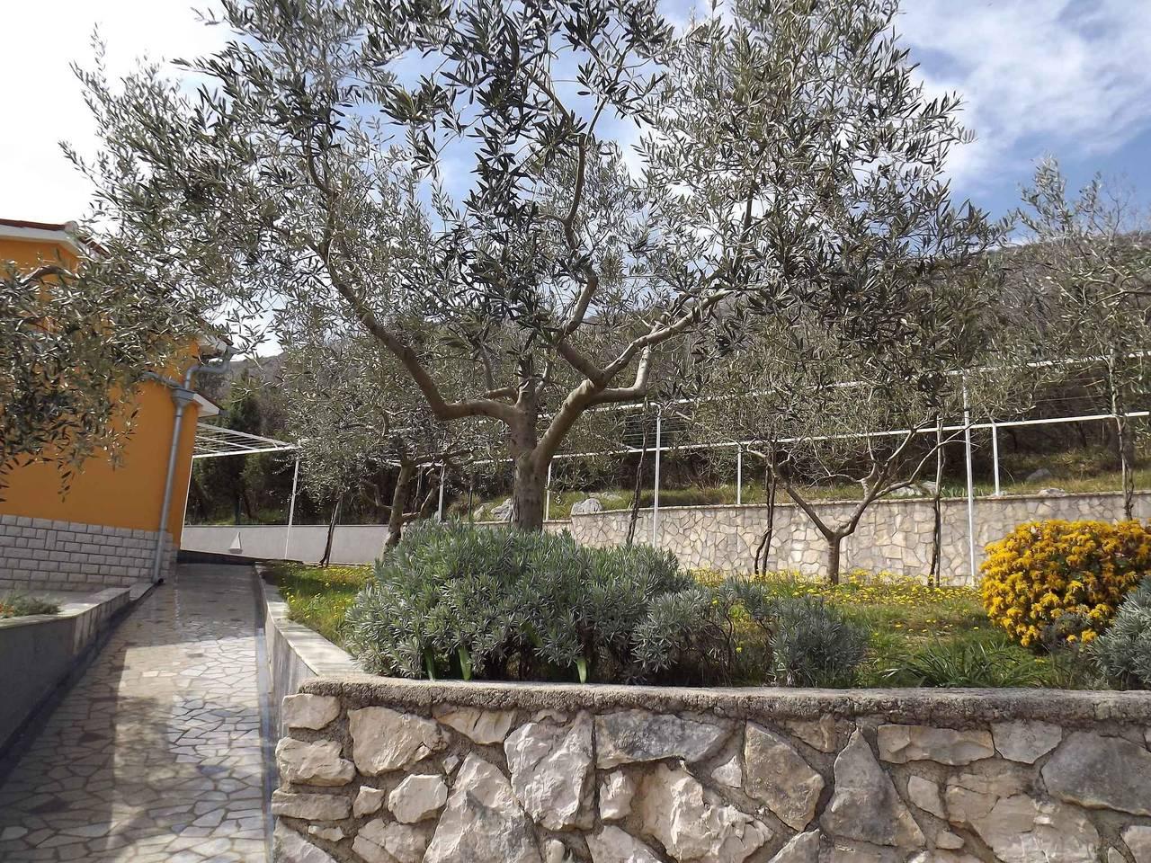 Vakantieappartement in Raša, Kroatië voor 2 personen foto 3