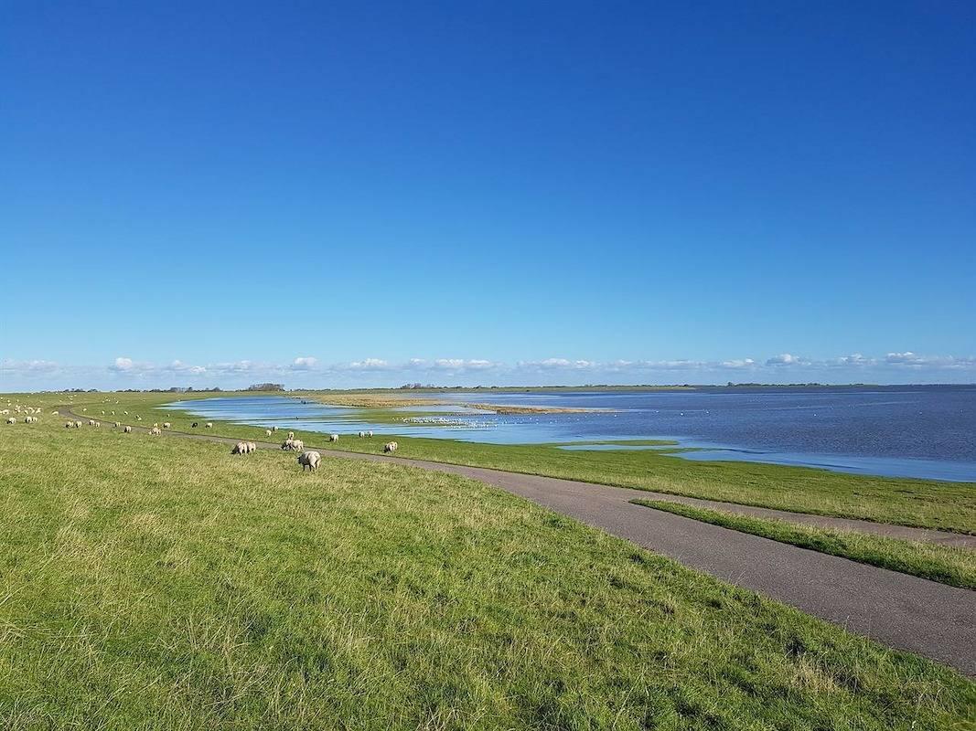 Vakantieappartement in Waddenzee, Duitsland voor 2 personen foto 17
