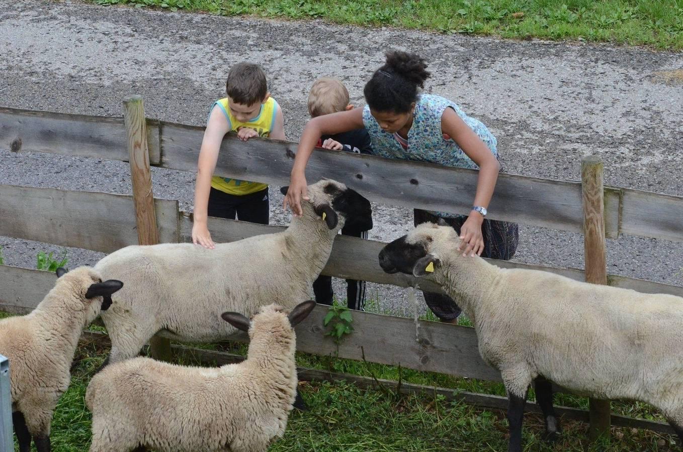 Vakantieappartement in Zwarte Woud, Duitsland voor 7 personen foto 13