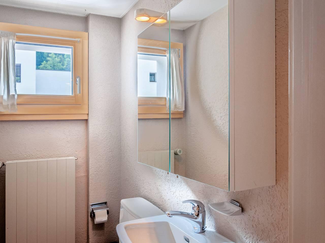 Rosablanche met 1 slaapkamer en sauna in Sornard (Nendaz), Nendaz, Zwitserland voor 4 personen foto 20
