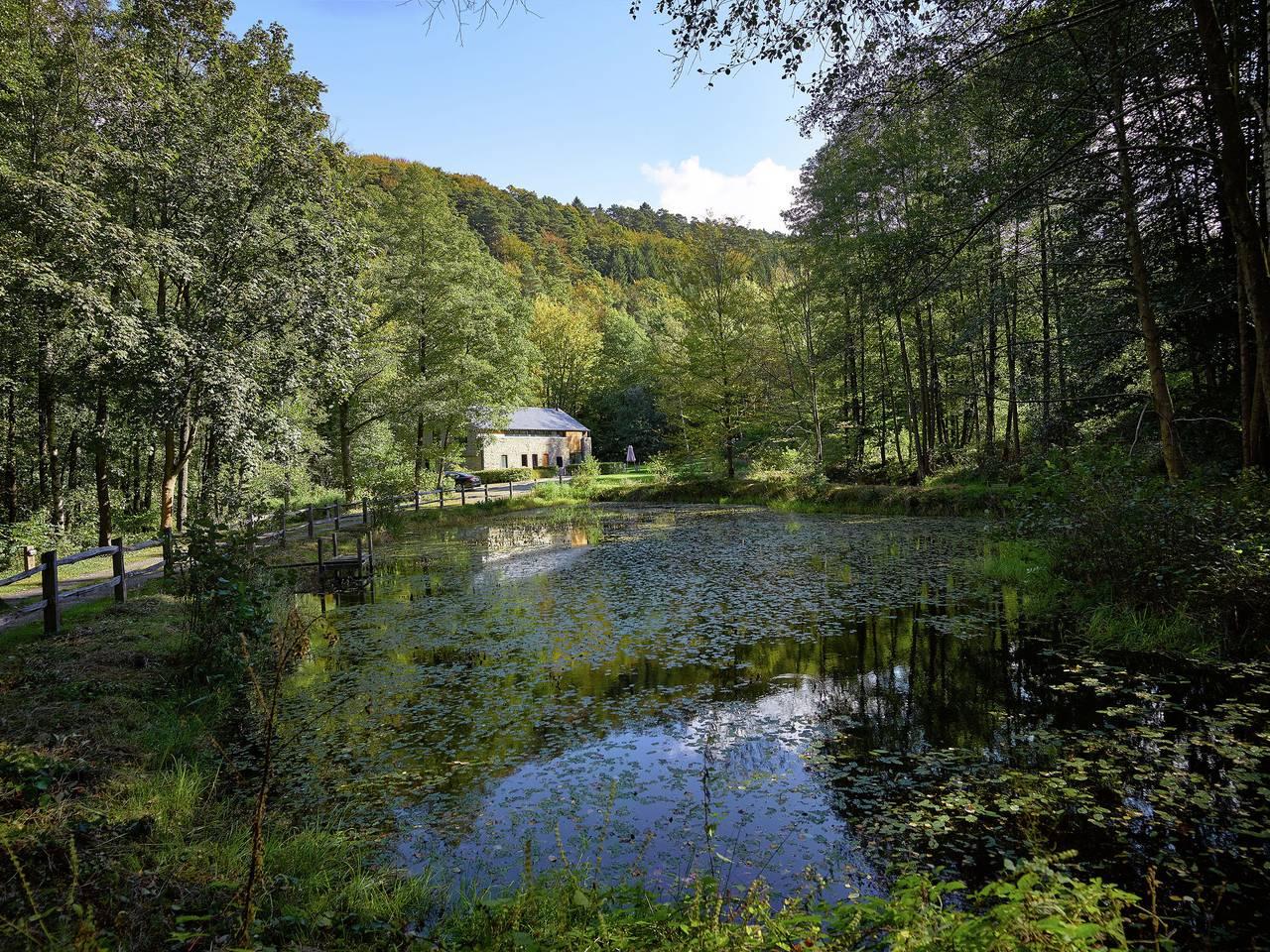 Jalhay Pondside Forest Home in Jalhay, Natuurgebied Hautes Fagnes, België voor 9 personen foto 20