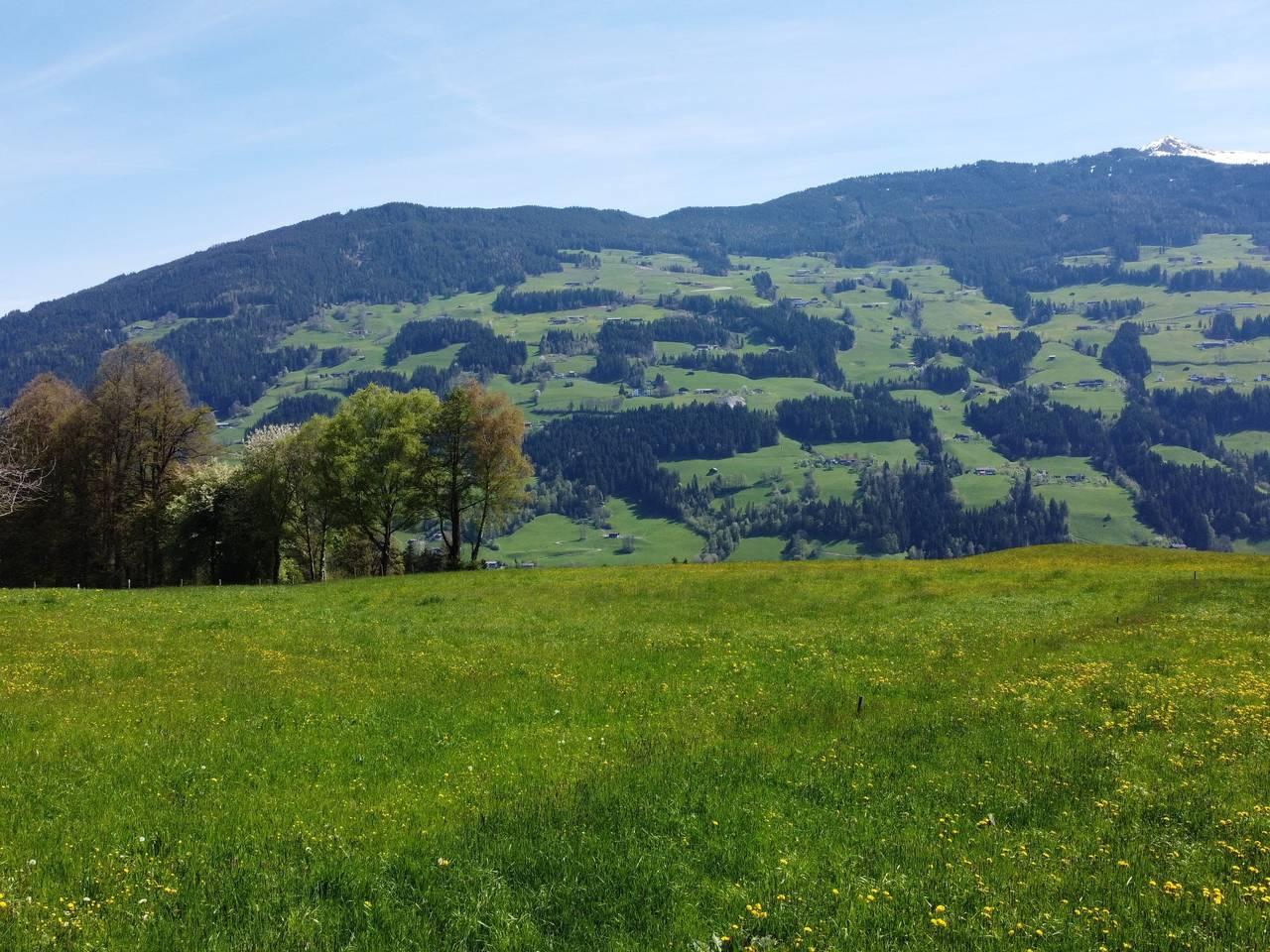Vakantiehuis met hond toegestaan in Tux Alps, Fügenberg, Oostenrijk voor 14 personen foto 24