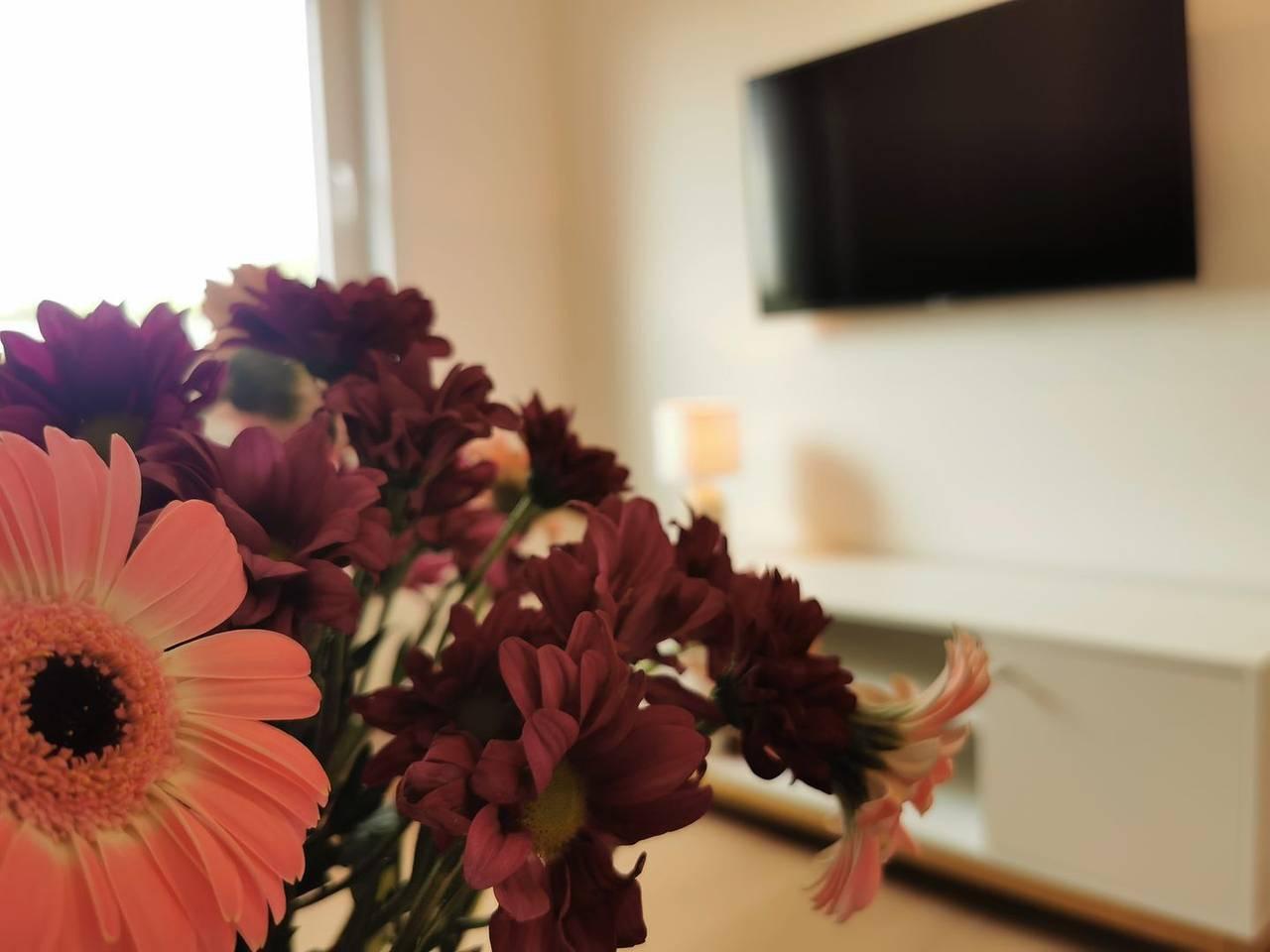 Vakantieappartement in Weser-Ems, Duitsland voor 2 personen foto 3