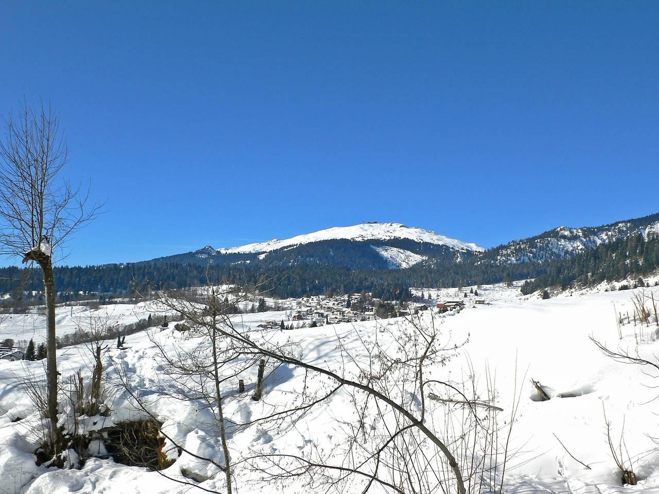 Valetta Sura in Flims-Dorf, Flims, Zwitserland voor 4 personen foto 19