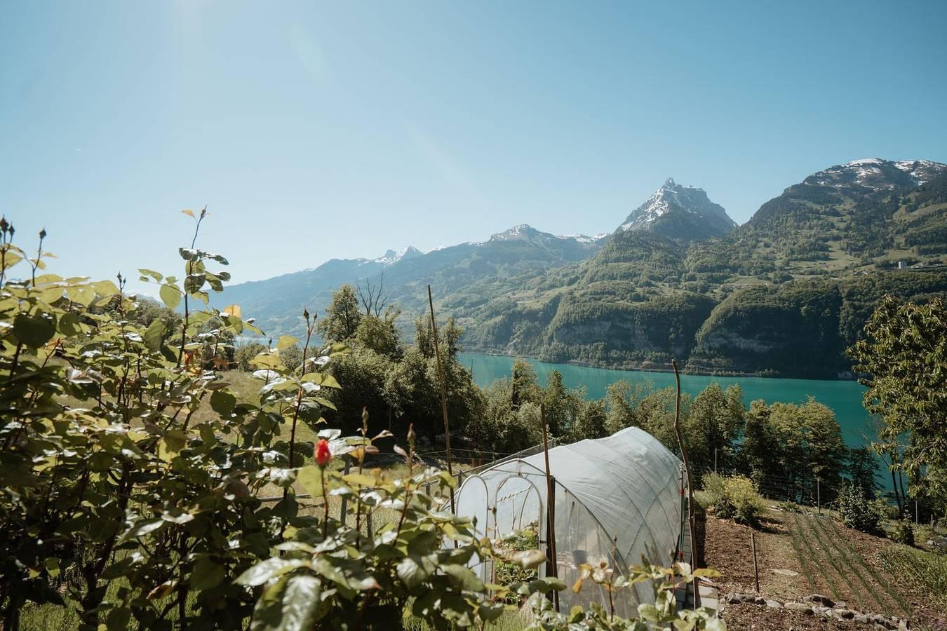 Vakantieappartement met terras in Amden, Walensee, Zwitserland voor 3 personen foto 24