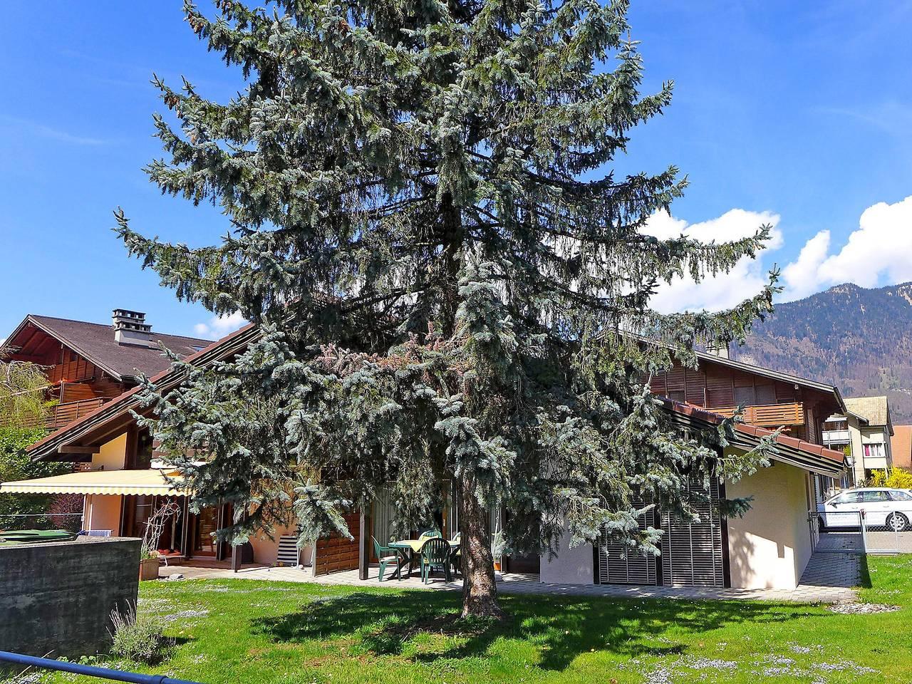 Vakantieappartement in Wilderswil, Zwitserland voor 4 personen foto 6