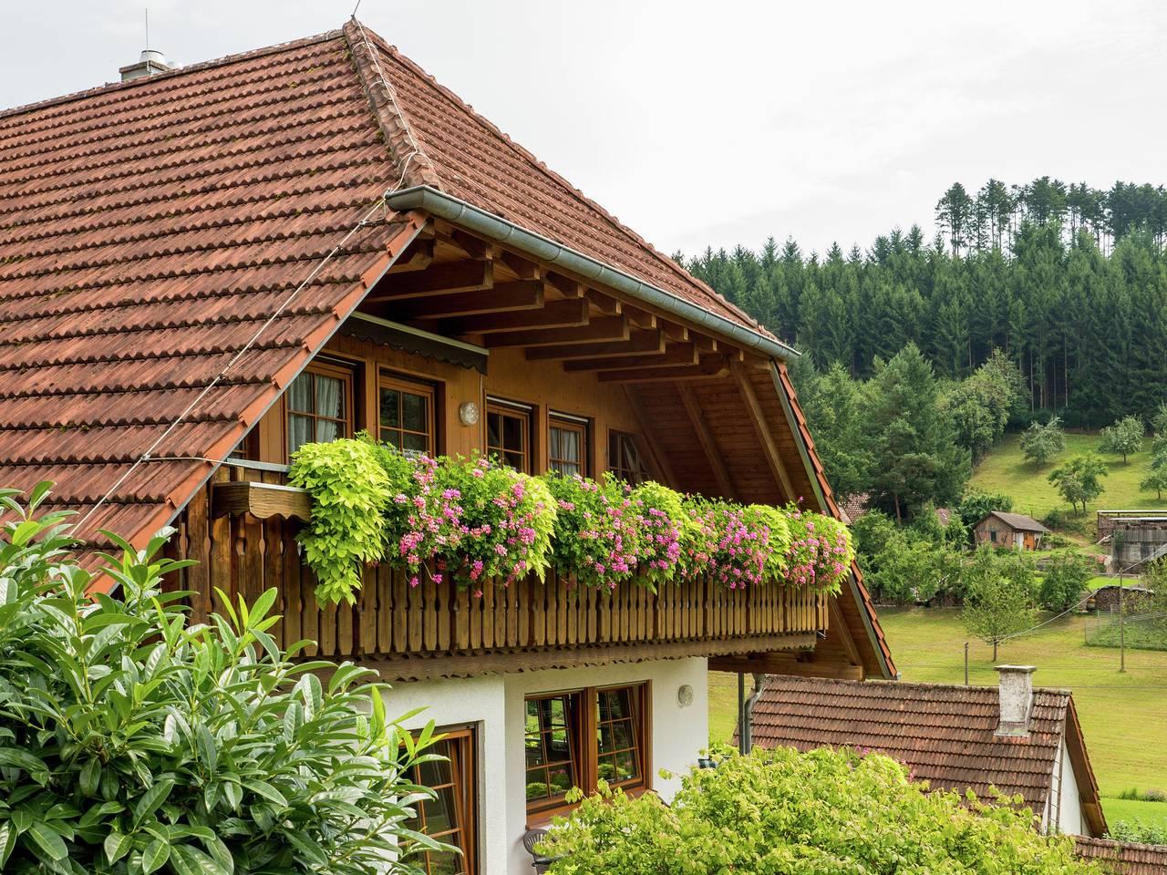 Vakantiehuis in Zwarte Woud, Duitsland voor 5 personen foto 7