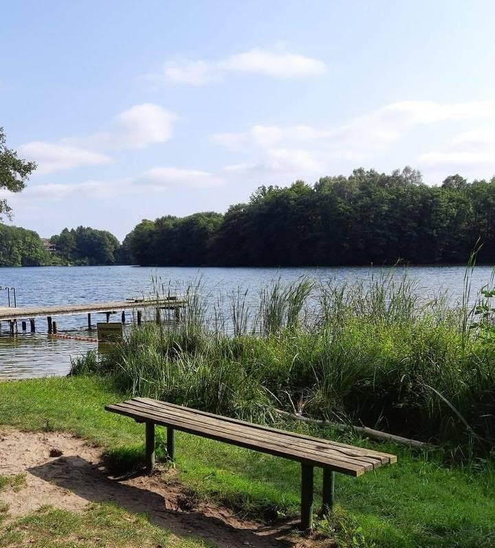 Vakantieappartement met sauna en hond toegestaan in Krummsee, Malente, Duitsland voor 4 personen foto 21