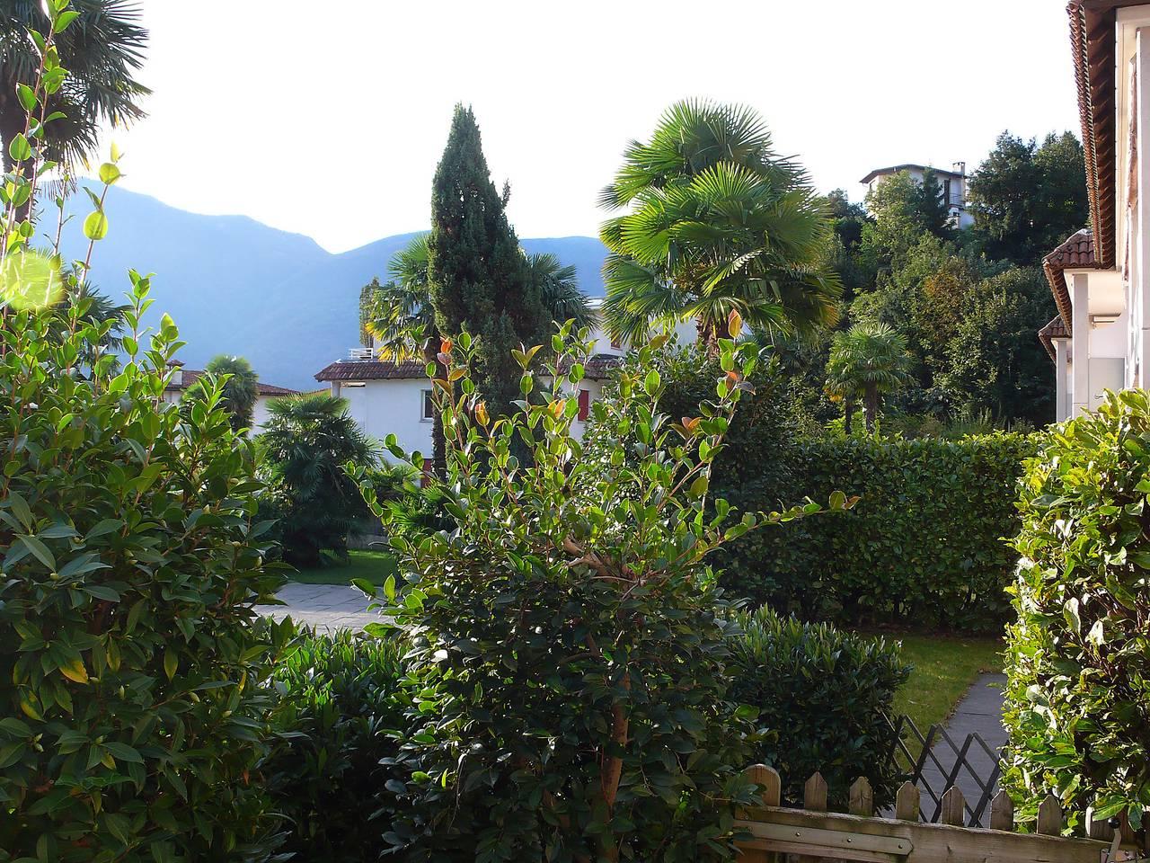 Vakantieappartement in Ascona, Zwitserland voor 4 personen foto 10