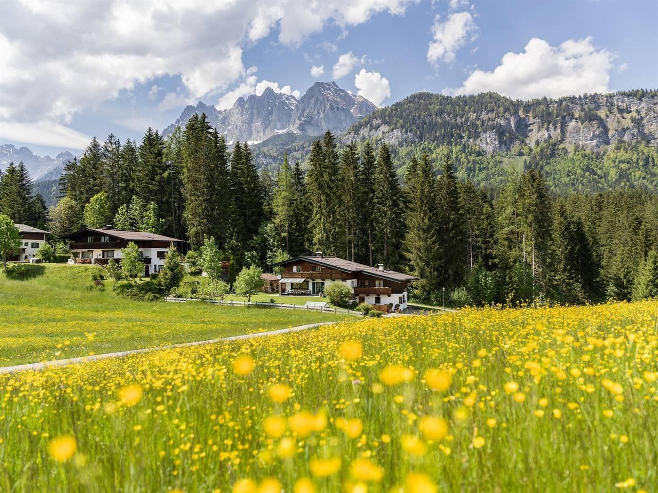 Vakantieappartement in Kaisergebirge, Oostenrijk voor 3 personen foto 10