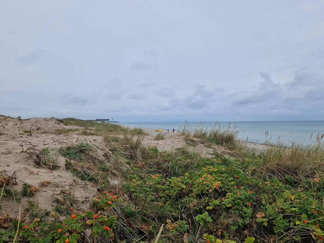 6 persoons vakantie huis in Frederiksværk in Halsnæs, Denemarken voor 6 personen foto 19