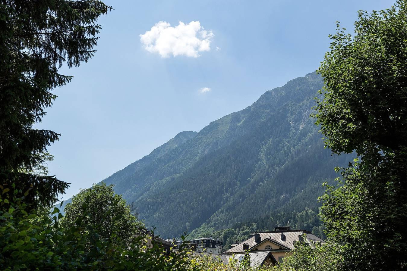 Villa Loppe in Brevent-Flegere, Chamonix, Frankrijk voor 10 personen foto 22