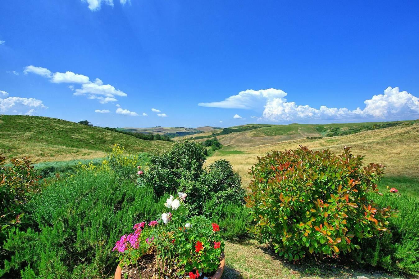 Castelmuzio in Trequanda, Provincie Siena, Italië voor 6 personen foto 20