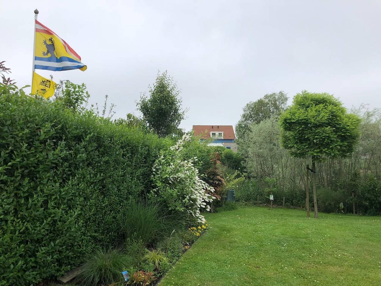Vakantiehuis in Hoofdplaat, Nederland voor 6 personen foto 4