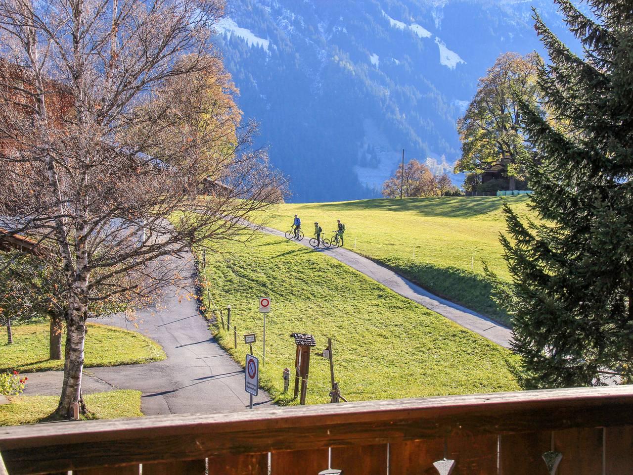 Vakantieappartement in Grindelwald, Zwitserland voor 5 personen foto 5