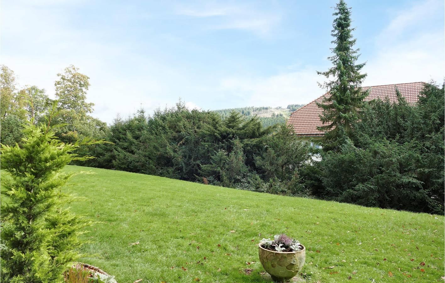 Vakantieappartement in Harz, Duitsland voor 2 personen foto 5