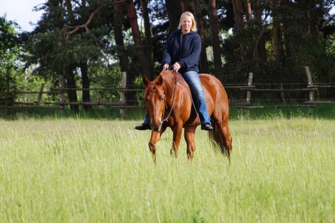 Vakantiewoning op een paard in Lübben, Dahme-Spreewald, Duitsland voor 3 personen foto 19