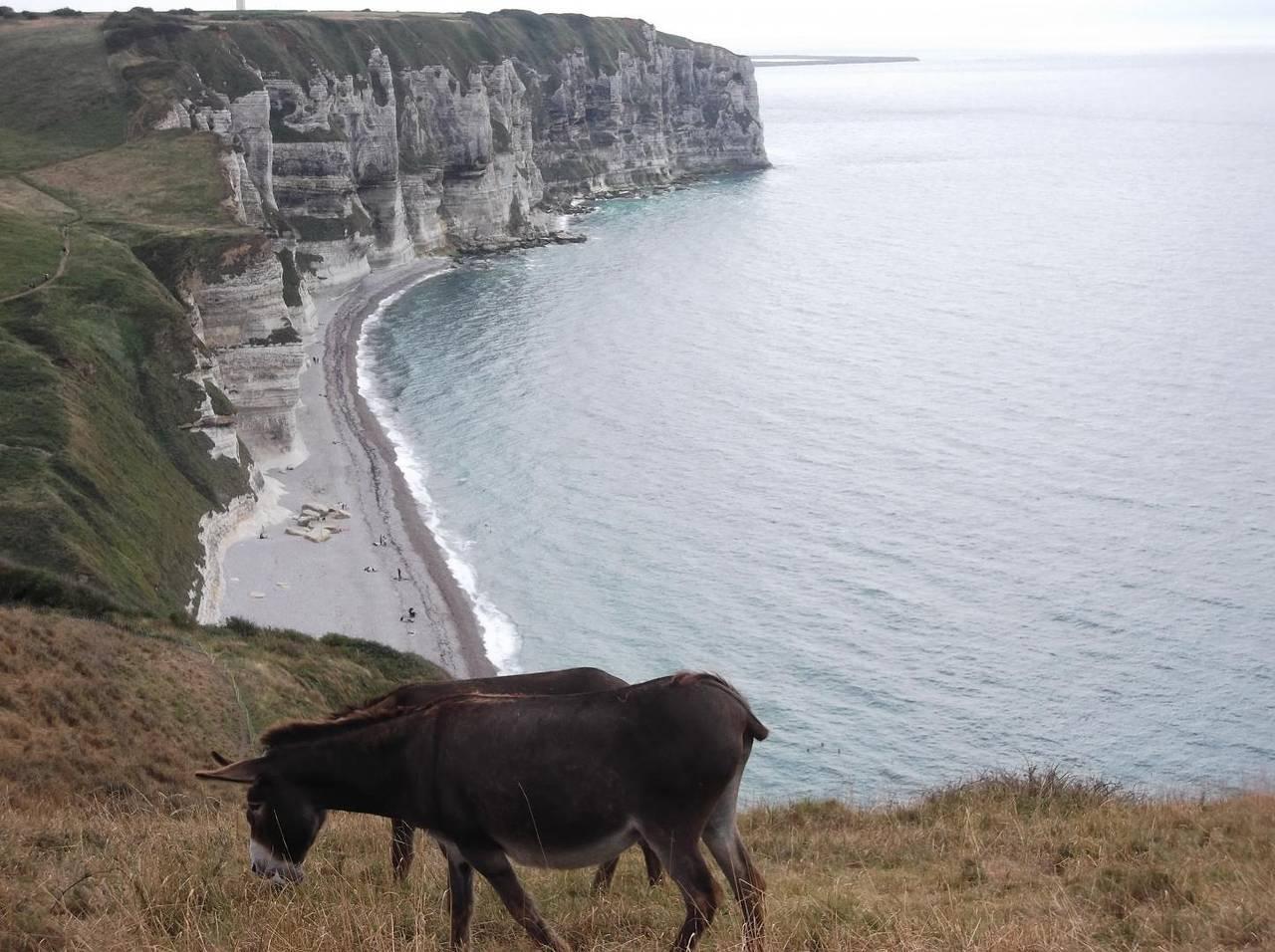 Gîtes de France® - L'Ecume de Mer in Saint-Jouin-Bruneval, Frankrijk voor 4 personen foto 22