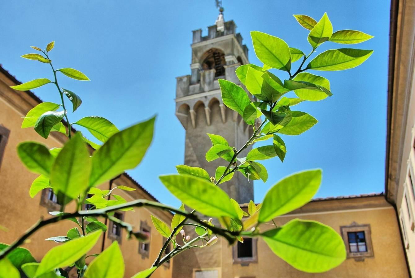Vakantieappartement in Montespertoli, Italië voor 3 personen foto 18