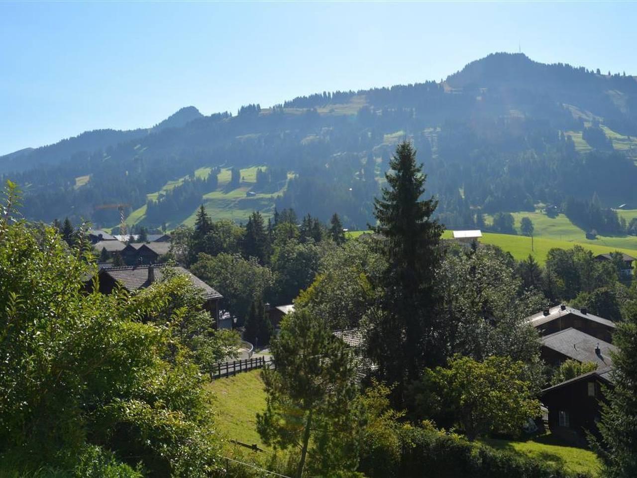 Vakantieappartement in Saanen, Zwitserland voor 4 personen foto 7