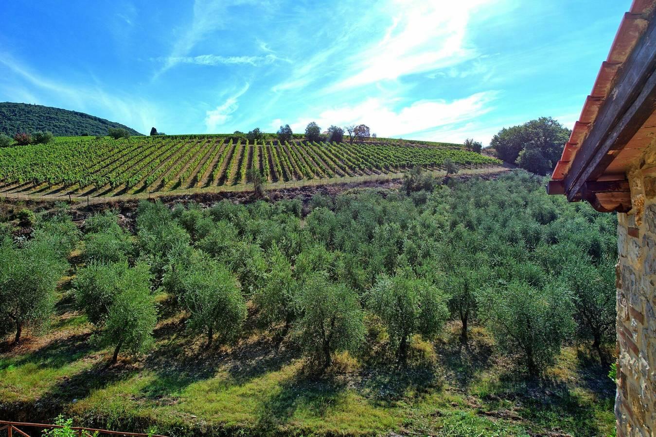 Vakantieappartement in Chianti, Italië voor 4 personen foto 4