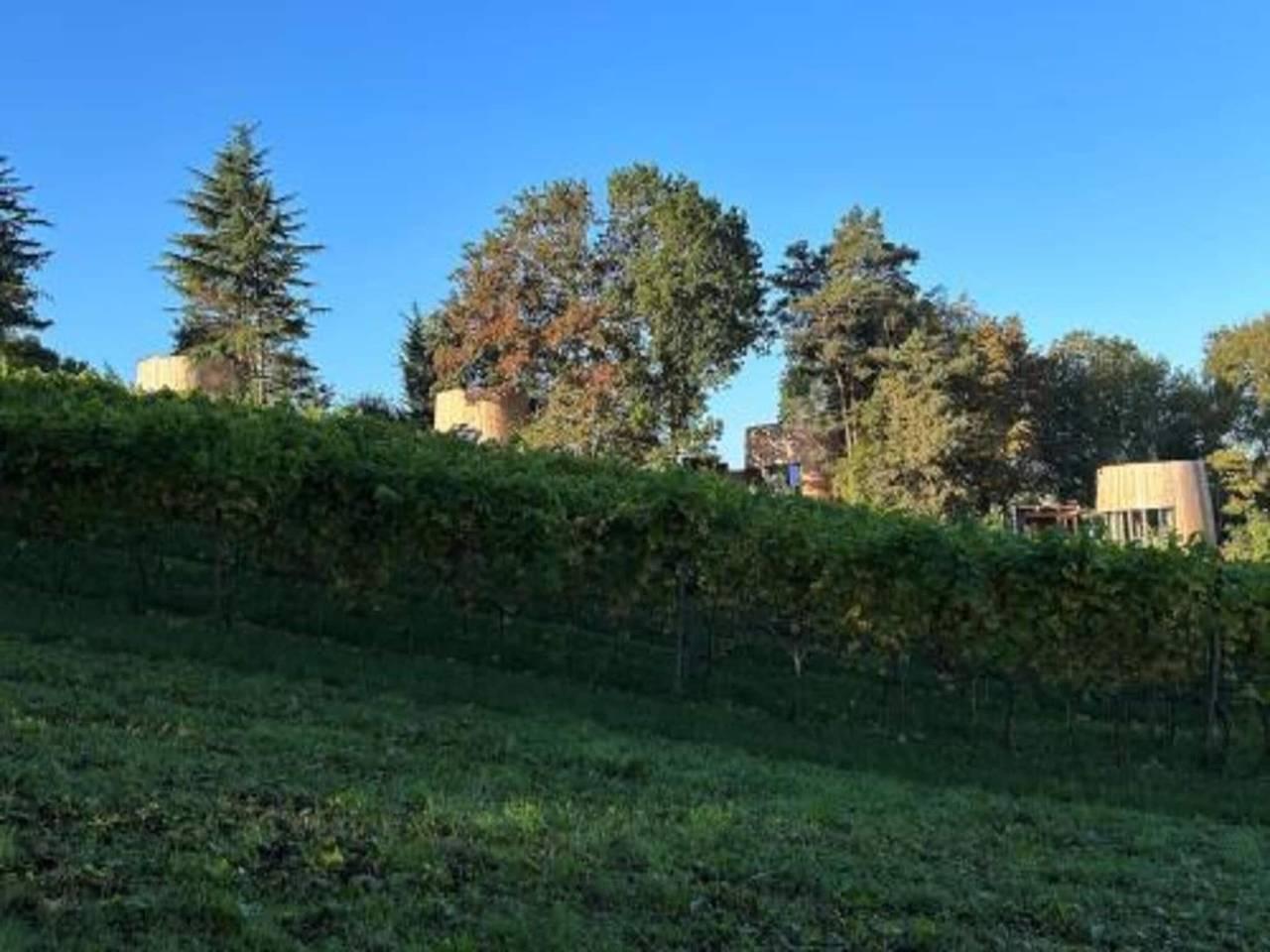 Vakantiehuis in Durbuy, Provincie Luxemburg, België voor 12 personen foto 23