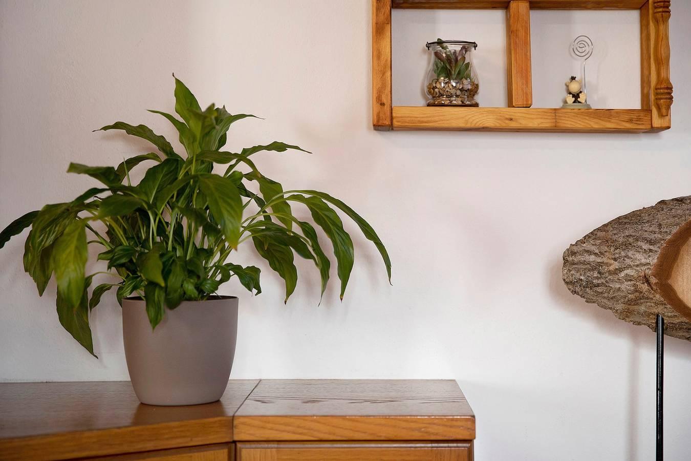 Vakantieappartement in Livigno, Italië voor 6 personen foto 4