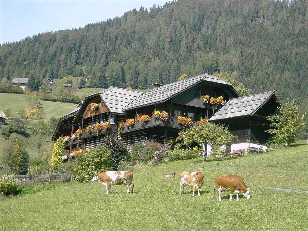 Vakantieappartement in Nockberge, Oostenrijk voor 2 personen foto 3