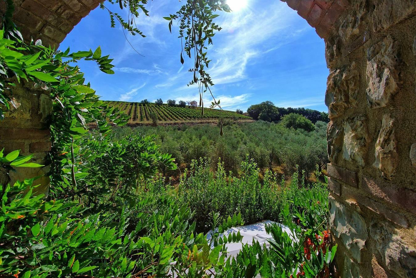 Vakantieappartement in Chianti, Italië voor 4 personen foto 11
