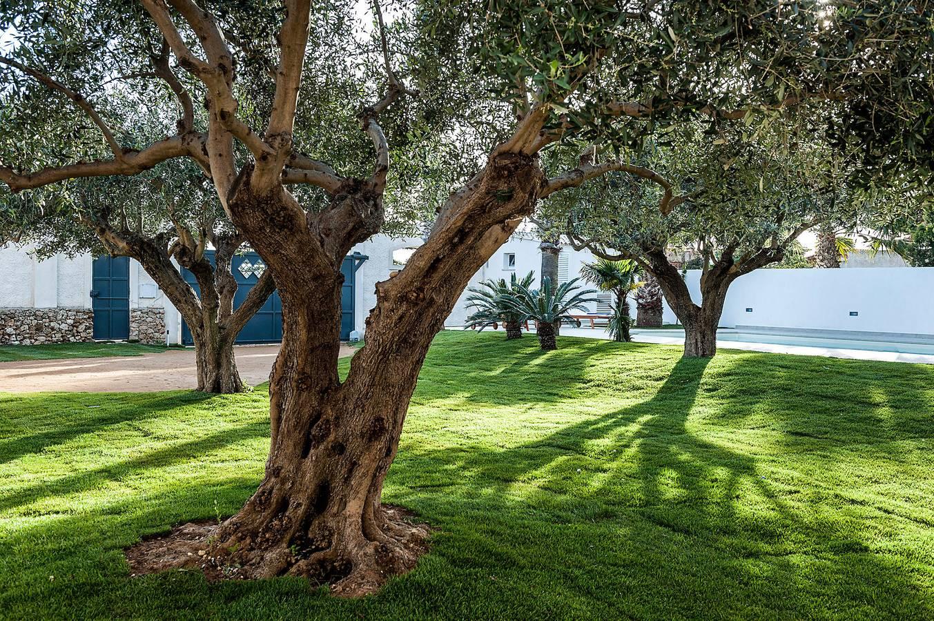 Vakantieappartement in Marsala, Italië voor 5 personen foto 11