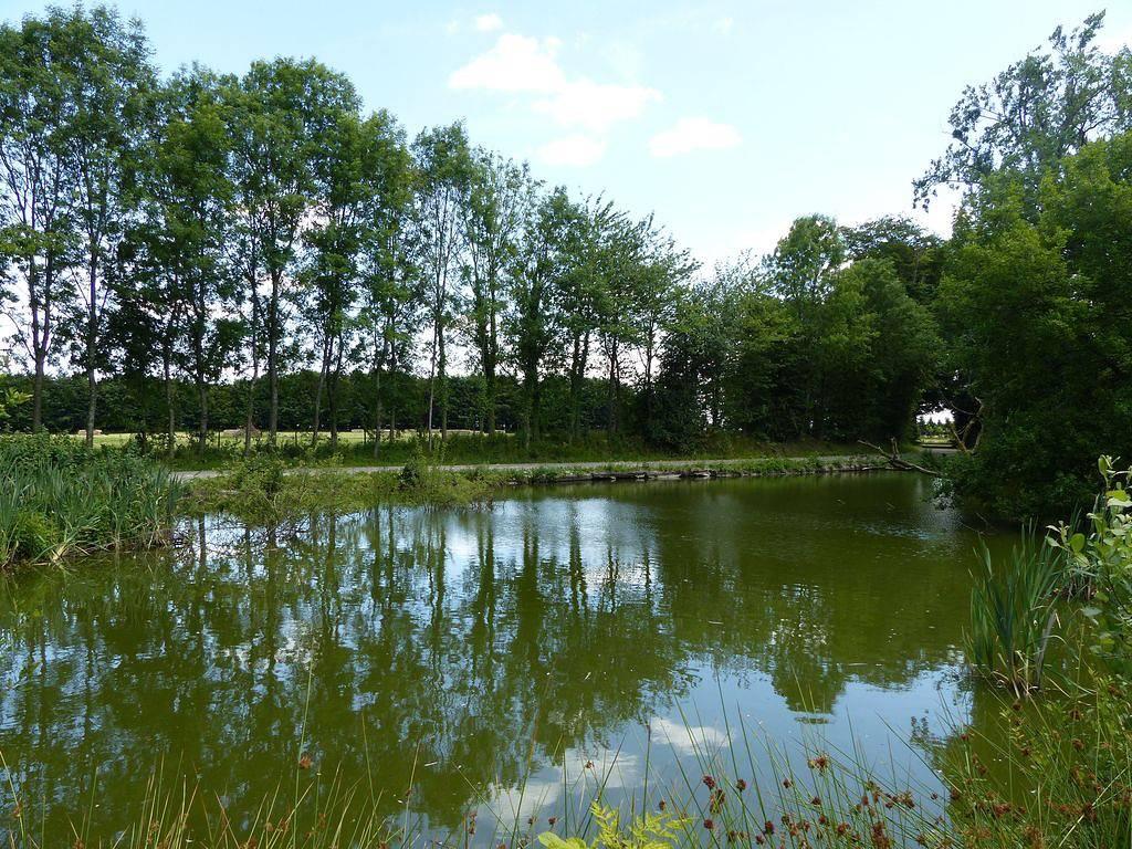 Gîtes de France® - Gîte du domaine de Grosmesnil in Cottévrard, Frankrijk voor 6 personen foto 22