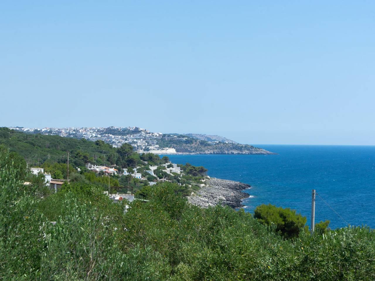 Cicala-Villa Anna in Andrano, Provincie Lecce, Italië voor 4 personen foto 22