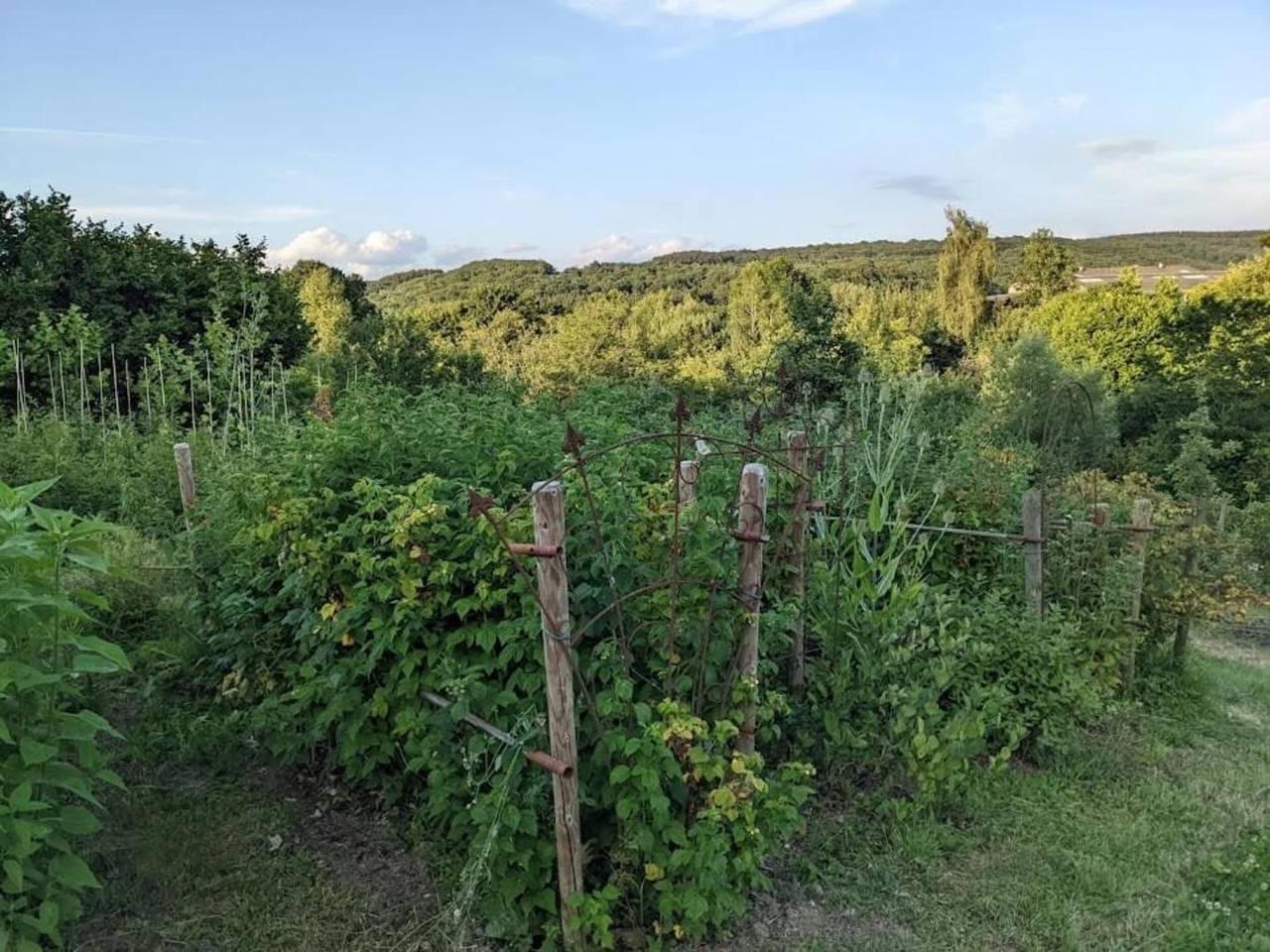 Maboge Cottage met tuin in Samrée, La Roche-en-Ardenne, België voor 6 personen foto 24