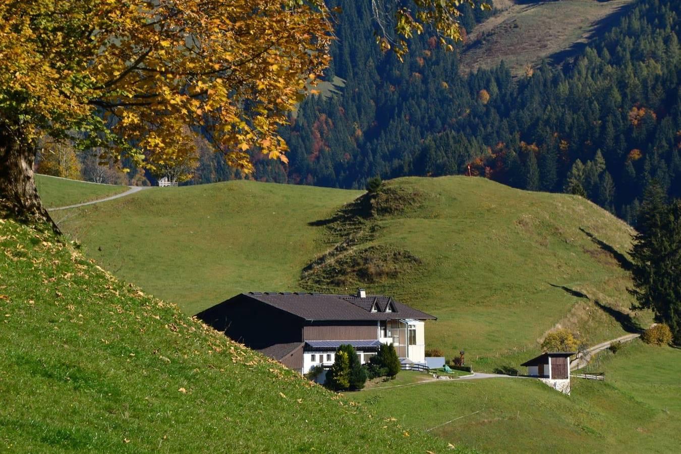Appartement, douche of bad, 2 slaapkamers in Rettenschöss, Kaisergebirge, Oostenrijk voor 4 personen foto 22