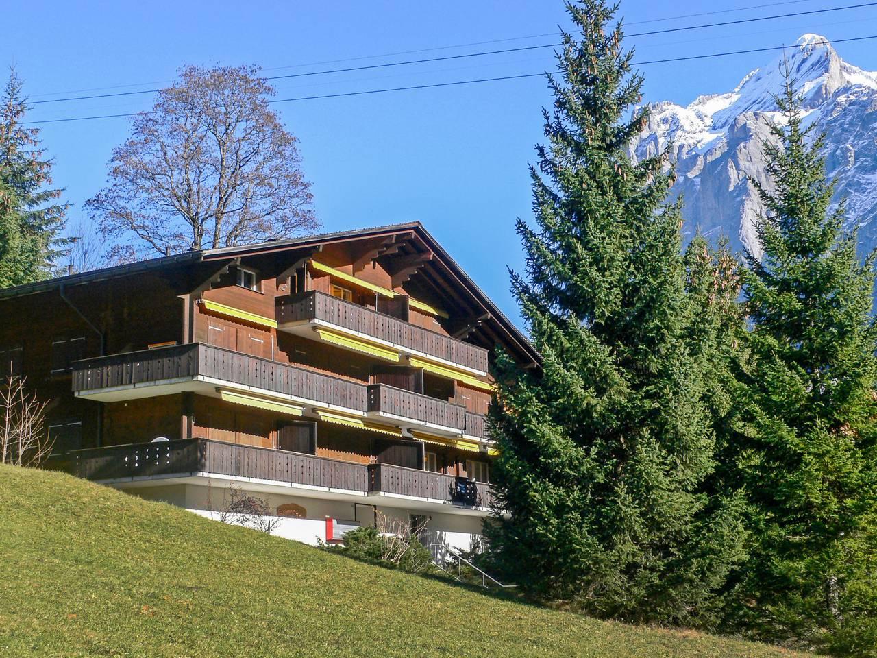 Vakantieappartement in Grindelwald, Zwitserland voor 5 personen