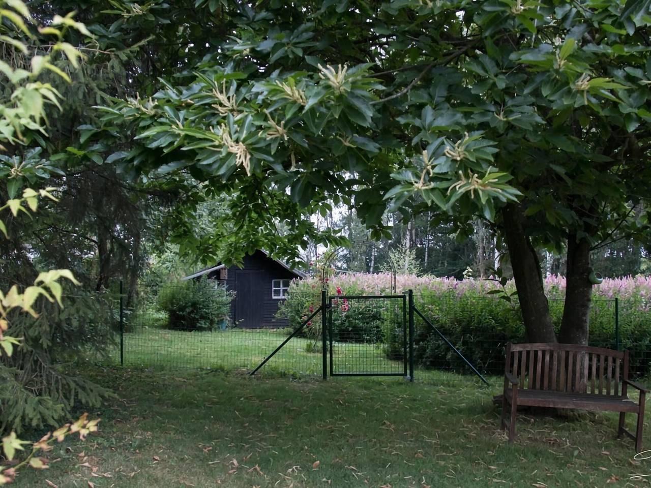 Vakantiehuis in Henegouwen, België voor 4 personen foto 10