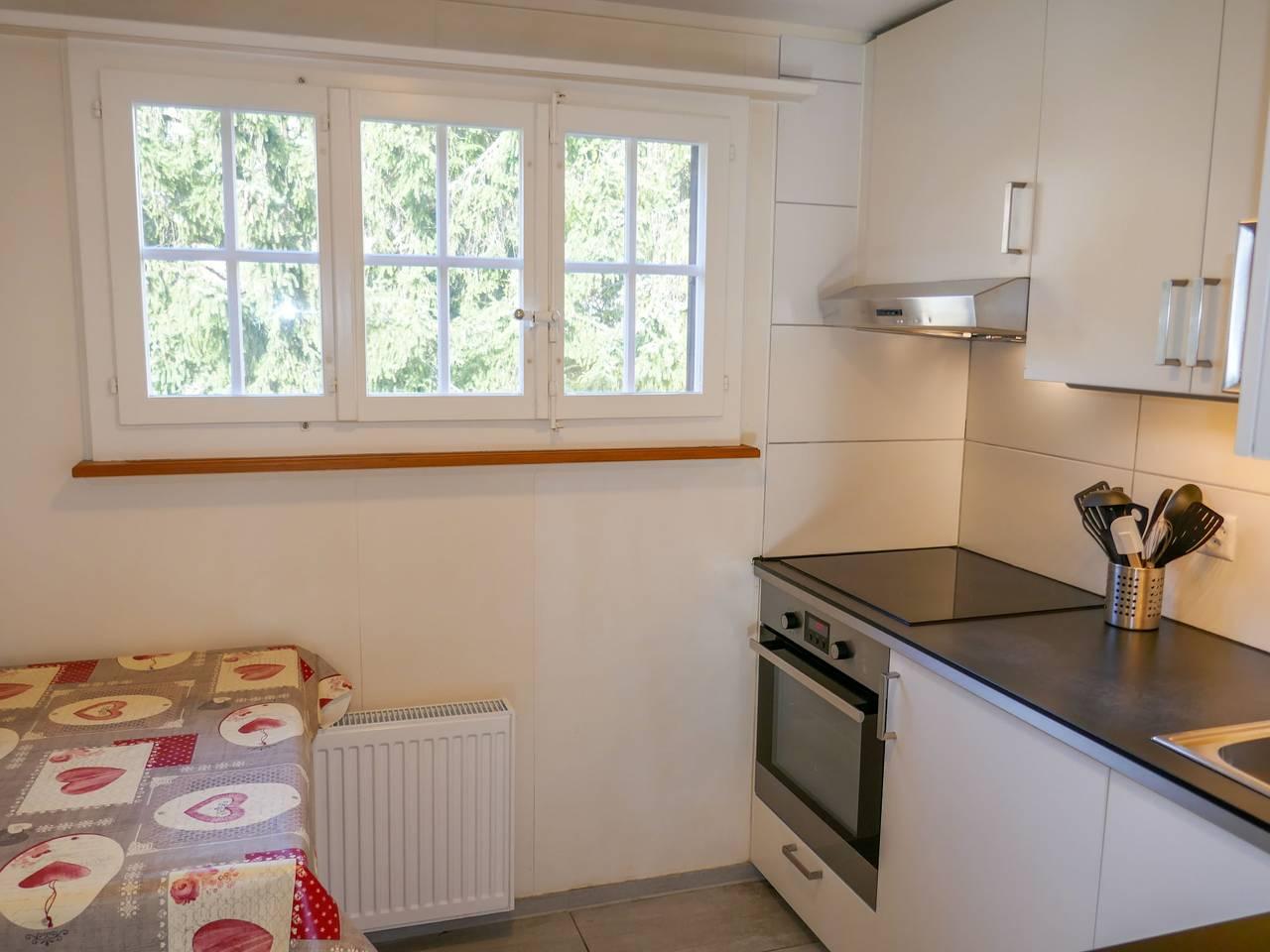 Vakantieappartement in Schwendi b. Grindelwald, Grindelwald, Zwitserland voor 4 personen foto 14