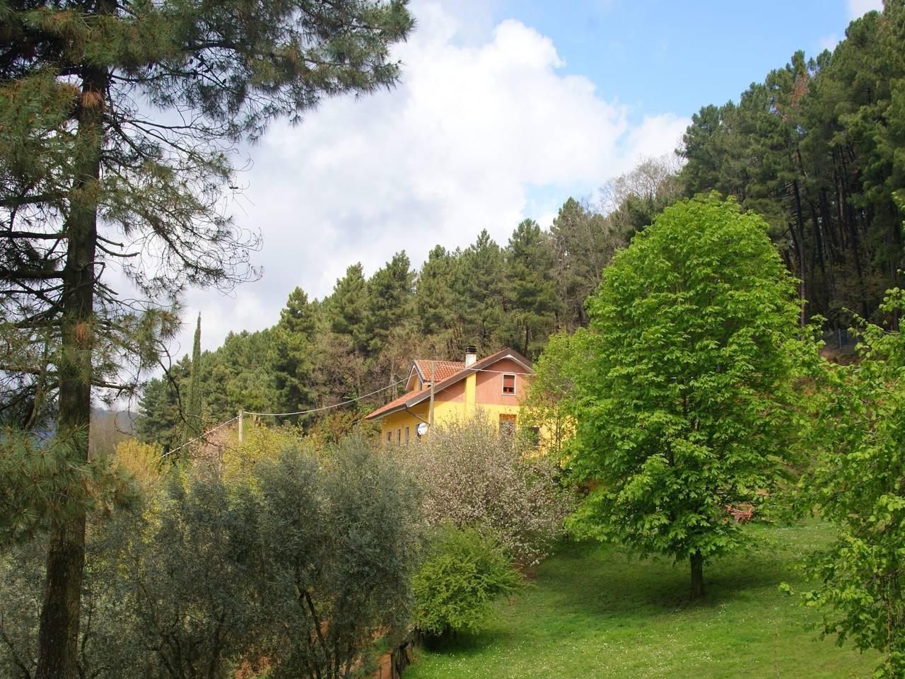 Vakantiehuis in Pescia, Italië voor 12 personen foto 4