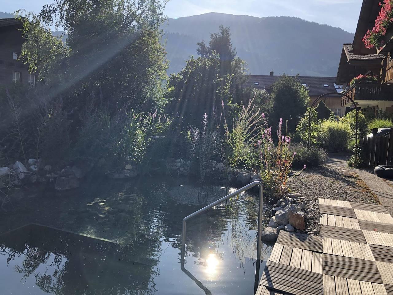 Vakantieappartement in St. Stefan, Zwitserland voor 4 personen foto 8
