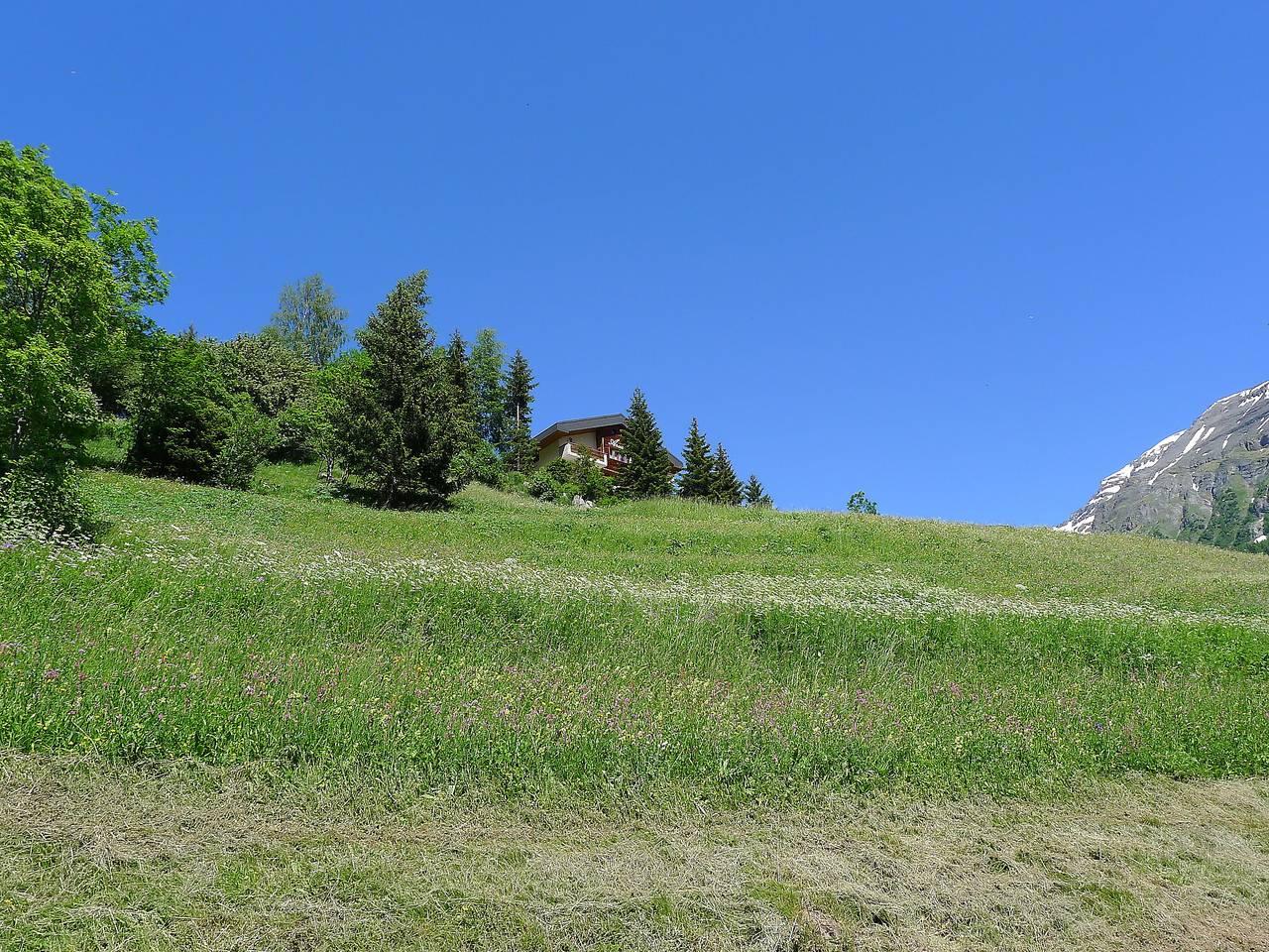 Vakantieappartement met hond toegestaan en airconditioning in Leukerbad, Wallis, Zwitserland voor 2 personen foto 19