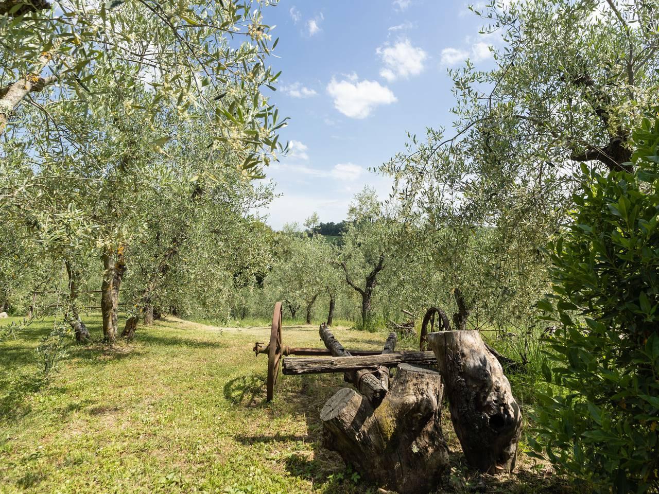 Le Buche met 2 slaapkamers en zwembad in Poggibonsi, Chianti, Italië voor 4 personen foto 13
