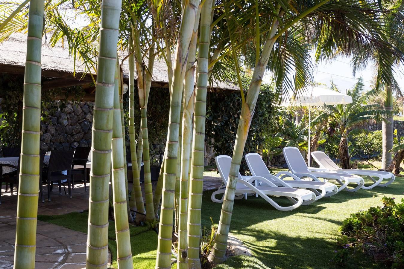 Apartamento en Tenerife jardín privado in El Caletón, La Matanza de Acentejo, Spanje voor 5 personen foto 21