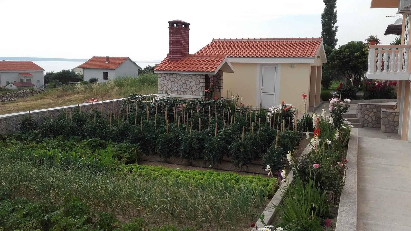 Vakantieappartement in Zadar, Kroatië voor 2 personen foto 14
