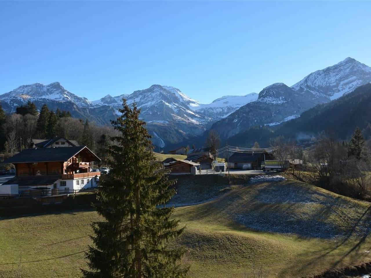 Vakantieappartement in Lauenen, Zwitserland voor 4 personen foto 11