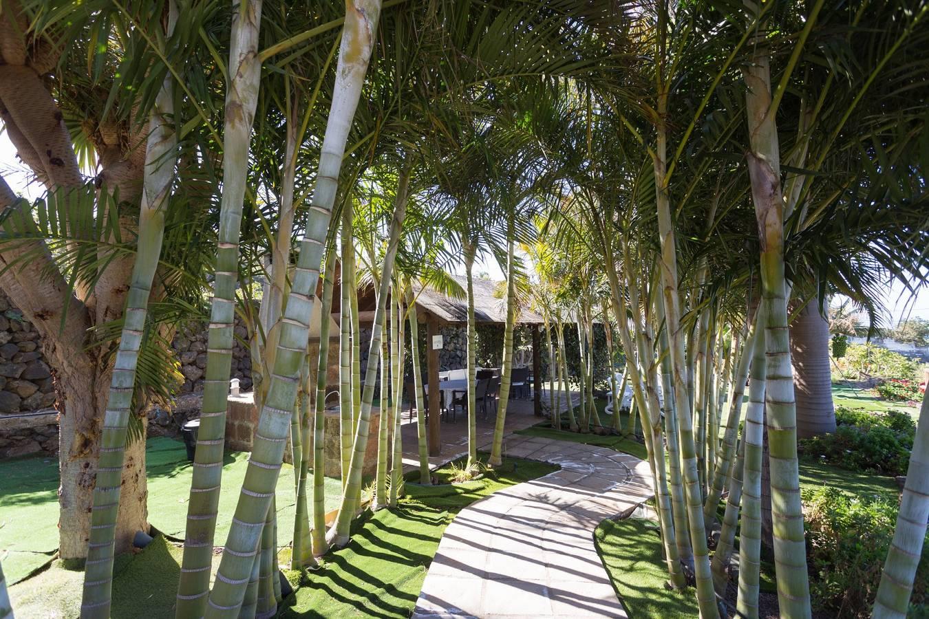 Vakantieappartement in Tenerife, Spanje voor 5 personen foto 18
