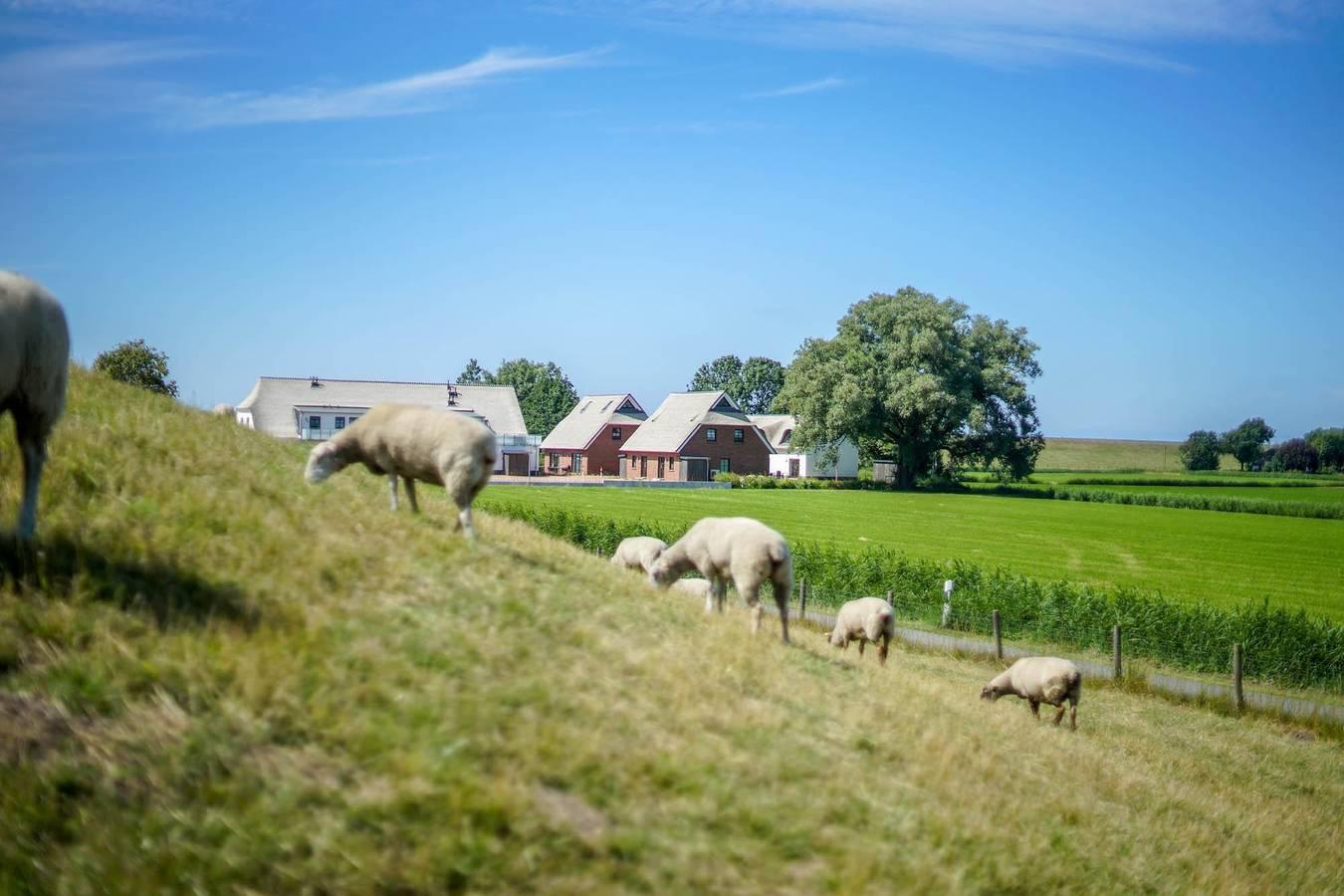 Vakantieappartement in Weser-Ems, Duitsland voor 3 personen foto 11