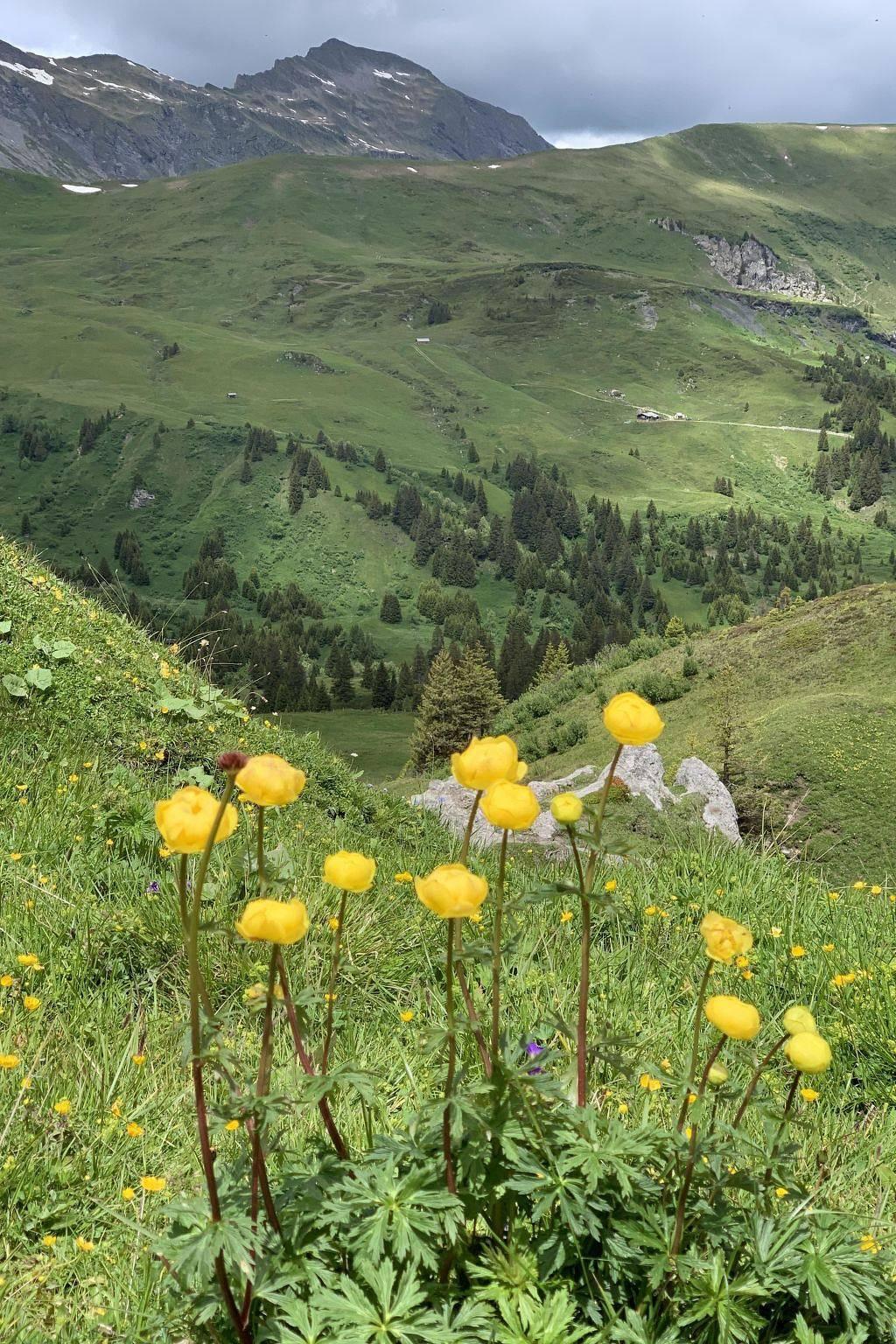 Vakantieappartement in Lenk, Zwitserland voor 2 personen foto 9