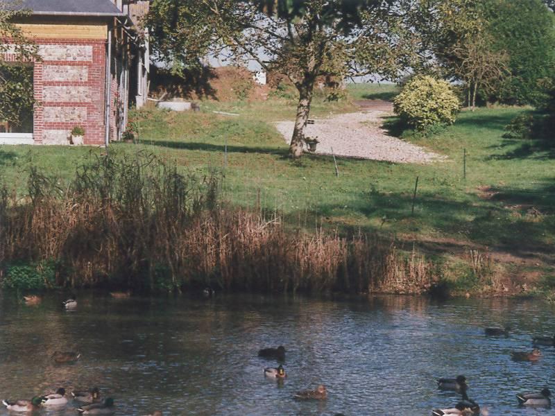 Gîtes de France® - L'Ecluse in Criquetot-l'Esneval, Frankrijk voor 4 personen foto 22
